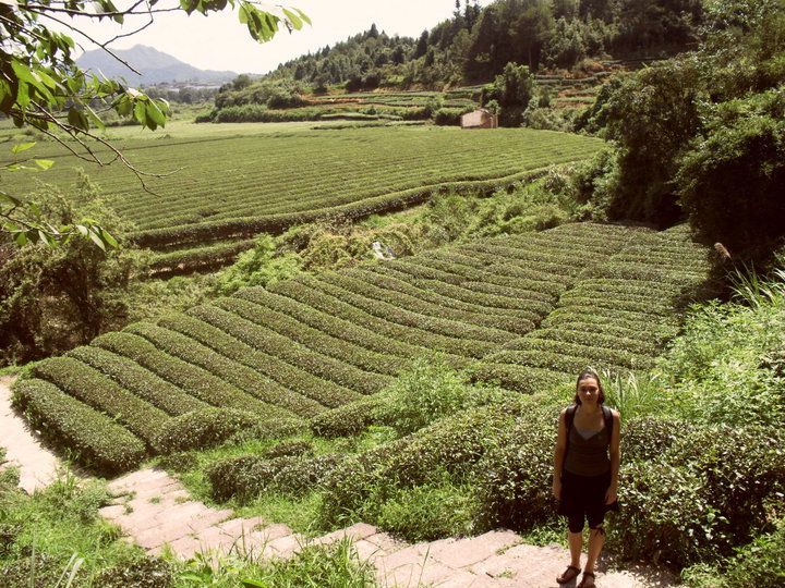 workaway experiences volunteer for free
