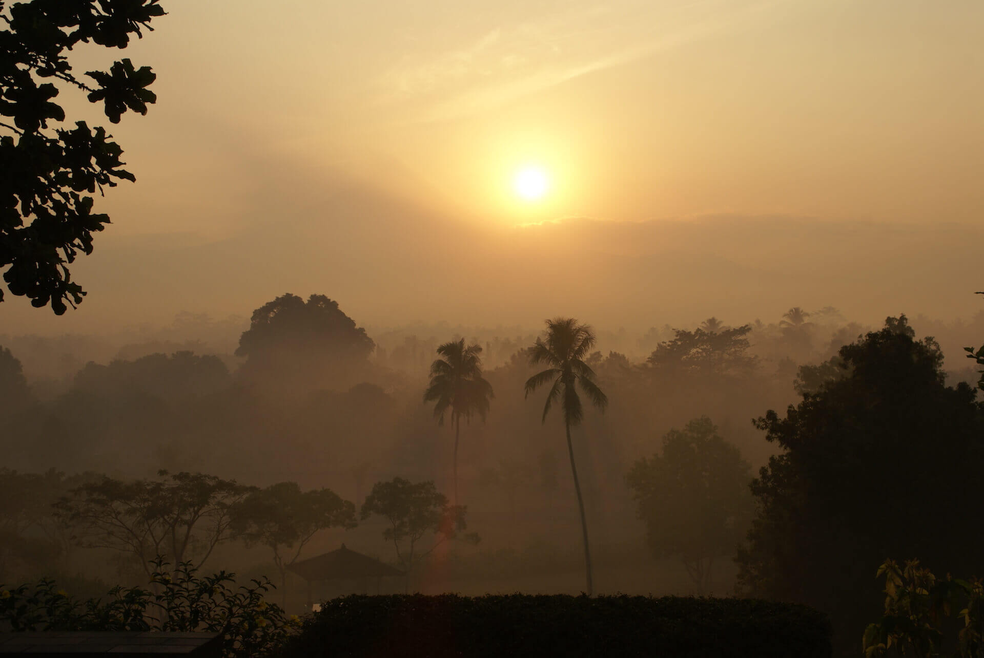 where to go in indonesia jungle