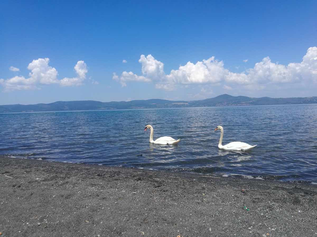 anguillara sabazia beach
