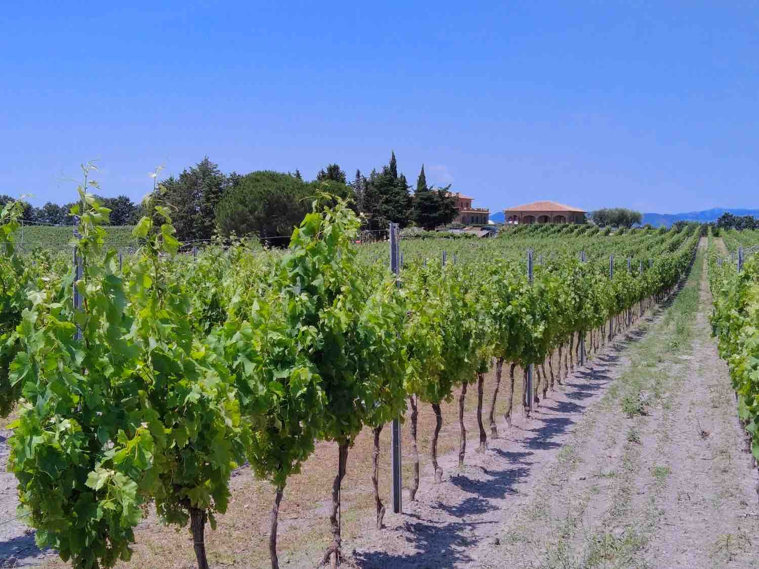 Southern Tuscany road trip