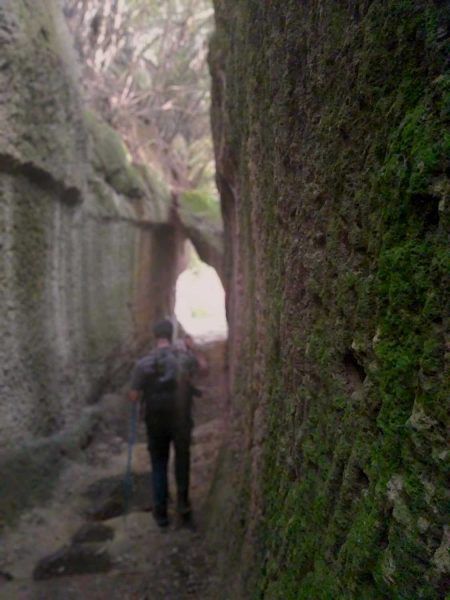 vie cave