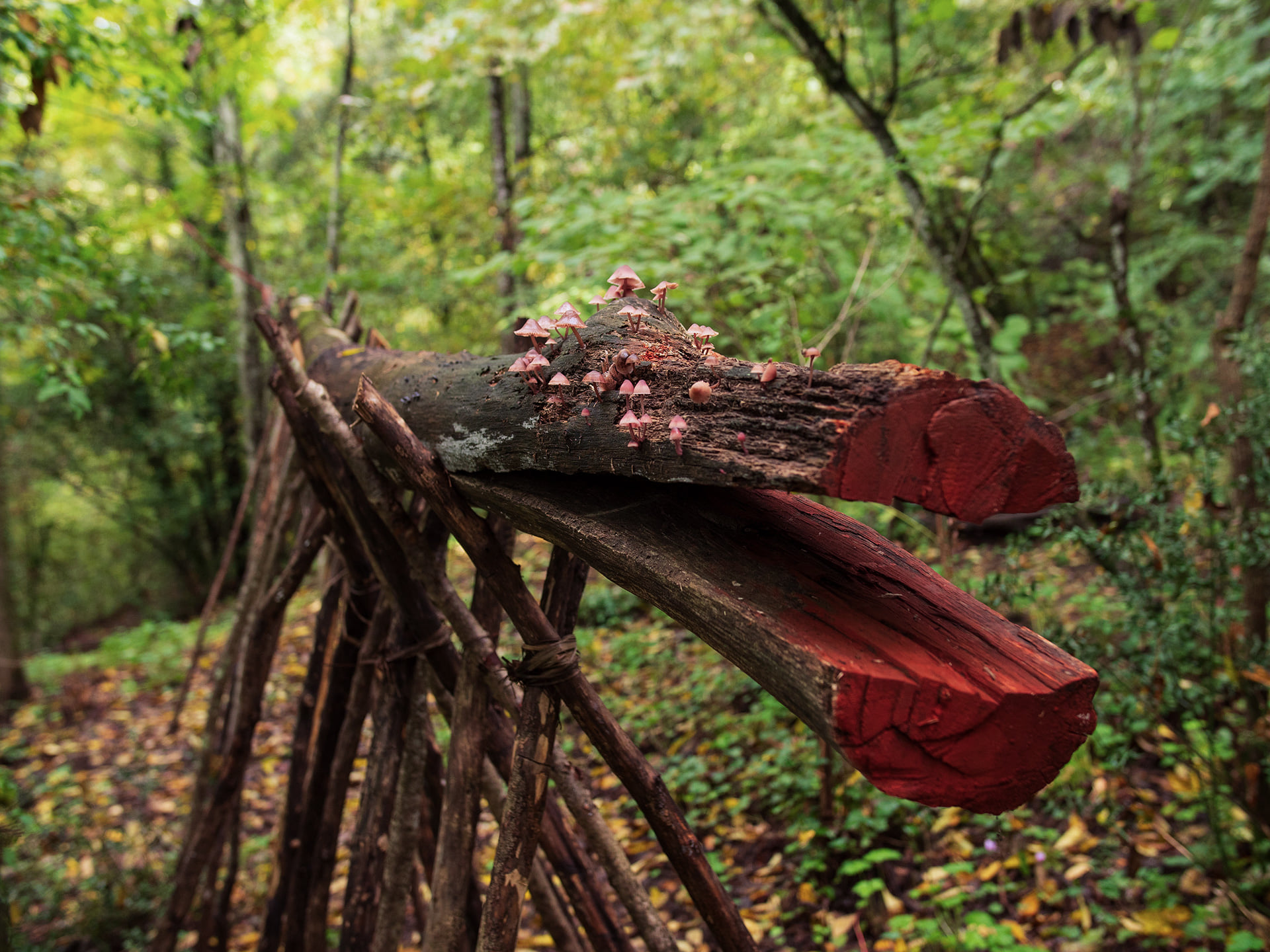 land art in nature Italy